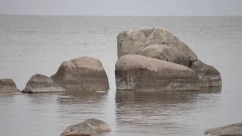 Rock in the water Stock Footage 81526586