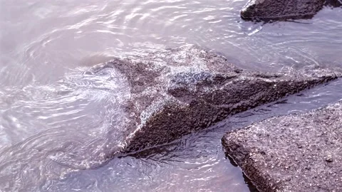 A rock in the water Stock Footage 301588086