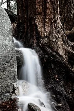 Rock water tree Stock Photos