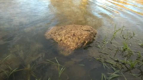 Rock in watter Stock Photos