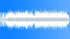 Rock on the Wild SideStock Music