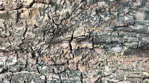 A rock wood background wallpaper with a blue stain on it Stock Photos