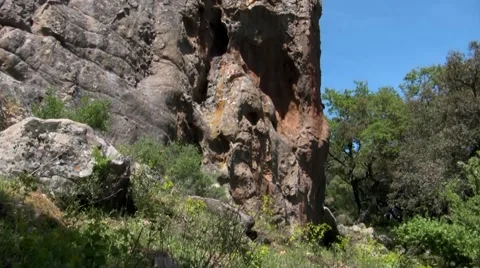 Rock in the woods Stock Footage 51034497