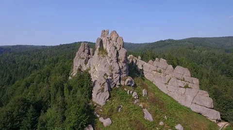 A rock in the Woods Stock Footage 89808038