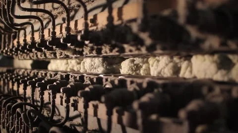 Rock-wool slat conveyor Stock Footage 61773573