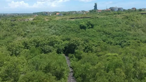 Rockbottom Bali Stock-Footage 181782083