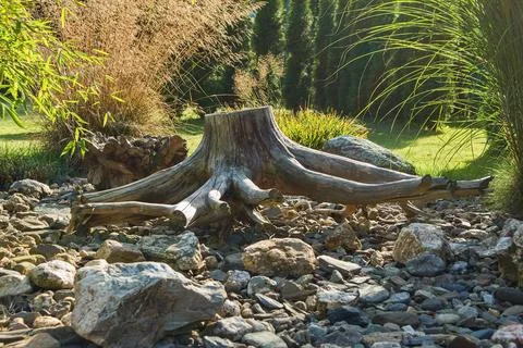 Rockery Stock Photos
