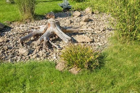 Rockery Stock Photos