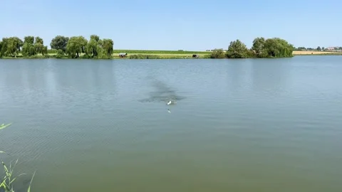 Rocket for feeding fish Stock Footage 248413697