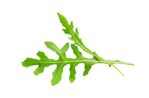 Rocket leaves Stock Photos