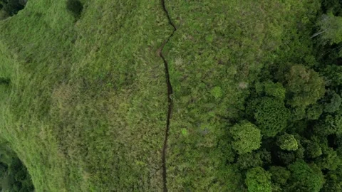 Rocket Mode Aerial Drone in Savannah and Green Mountain Stock Footage 303320734