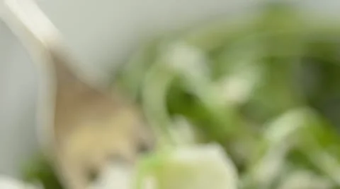 Rocket with parmesan Stock Footage 12590273