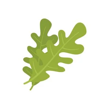 Rocket rucola icon flat vector. Arugula salad Illustrazione stock