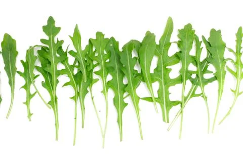 Rocket salad Stock Photos