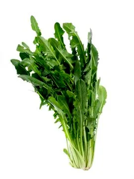 Rocket salad on white background Stock Photos