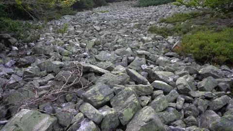 Rockfall down the mountainside from the forest. Stock Footage 172577498