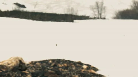 Rockfall in the mountains. Winter. Sochi. Stock Footage 51323519