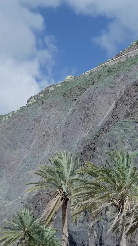 Rockfall protection netting on a volcanic mountain with palm trees Vidéo 329866205