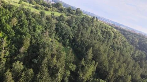 Rockie Fly Stock Footage 207879602