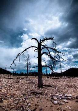 Rockies Stock Photos