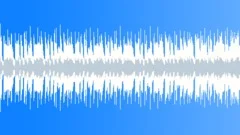 Rockin Chicago Blues Band (Loop A)Stock Music