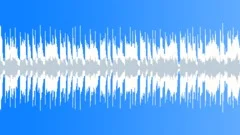 Rockin Chicago Blues Band (Loop C) Stock Music