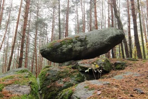 Rocking stone in the pine forest Stock Photos