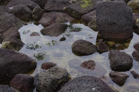 Rockpool at a beach Stock Photos