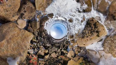 Rockpool Fish eye Stock Photos