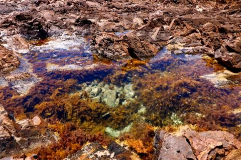 Rockpool Stock Photos