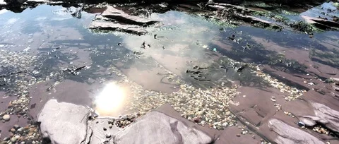 Rockpool water 库存影片 91374684