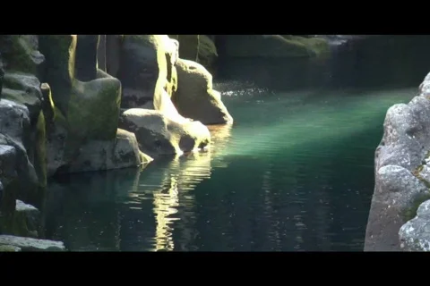 Rockpool water scene Stock-Footage 562507