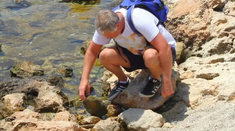 Rockpooling - looking under rocks Stock Footage 40706888