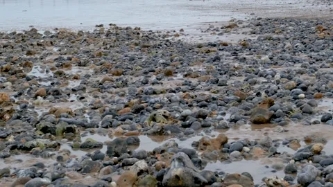 Rockpools on the beach Video stock 222799178