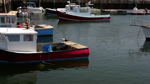 Rockport, MA Harbor Stock Footage 25824639