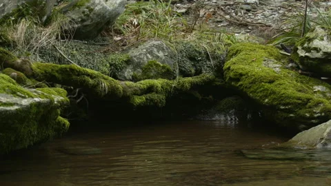 Rocks across the river Stock Footage 154005373
