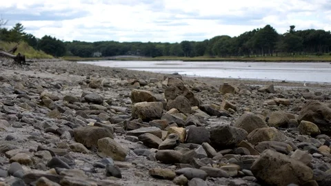 Rocks along shorline River Stock-Footage 116789784