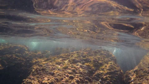 Rocks and algae covering the seabed with sunbeams penetrating a clear water Stock Footage 343503535