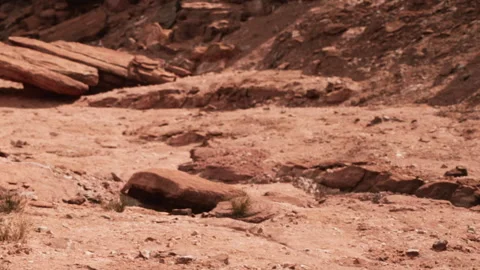Rocks and dirt form dry landscape in remote area during sunny day Stock Footage 339879541