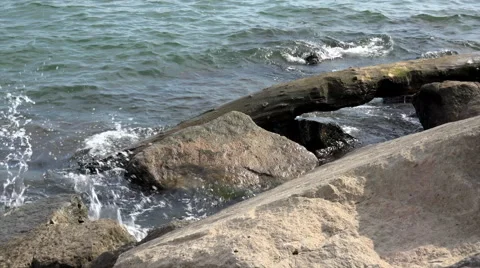 Rocks and Driftwood Stock Footage 42435451