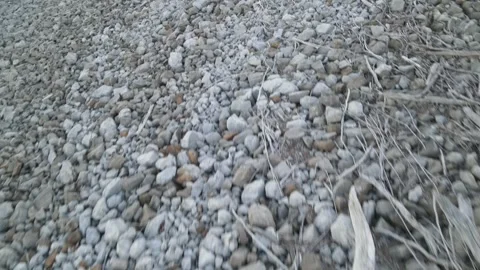 Rocks and Driftwood Video stock 320134296