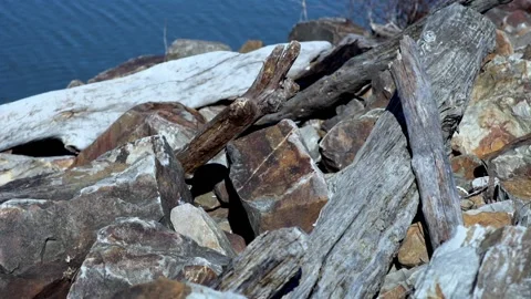 Rocks and driftwood on the side of a river Stock Footage 133652648