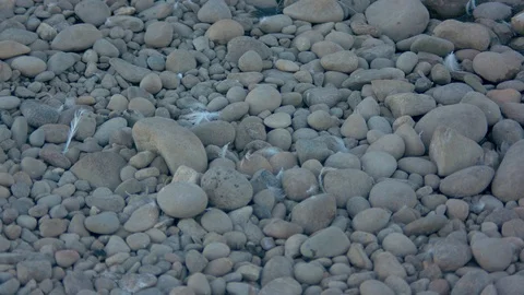Rocks and Feathers Stock Footage 90190384