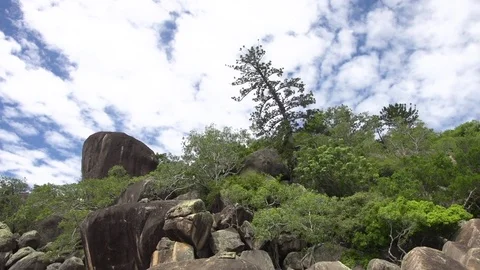 Rocks and forest with sky Stock Footage 79711299