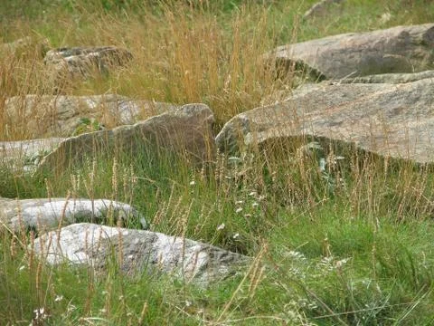 Rocks and grass Stock Photos