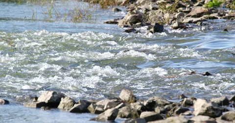 Rocks and grass surrounding fast stream of clear blue water Stock Footage 263128705
