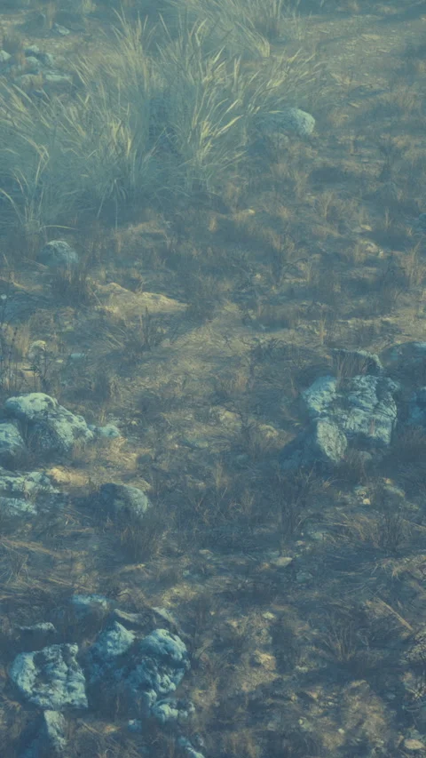 Rocks and grass visible under water in a natural setting Video stock 347258133