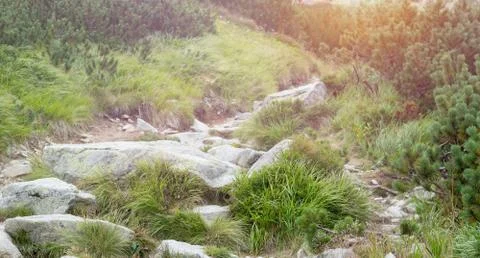 Rocks and grass on walking path in mountains Stock Photos
