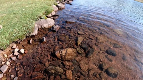 Rocks and grass in the water at the edge of Lake Arashan Stock Footage 170744883