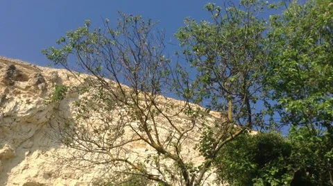 Rocks and Green Trees in the Mountains of Crimea Fiolent Russia Stock Footage 58301083